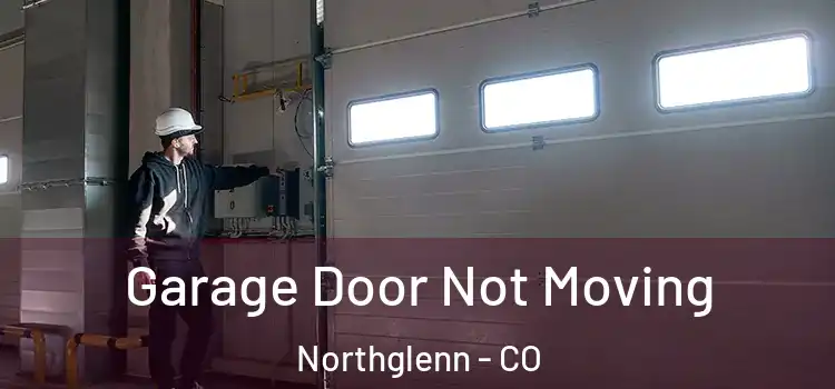  Garage Door Not Moving Northglenn - CO