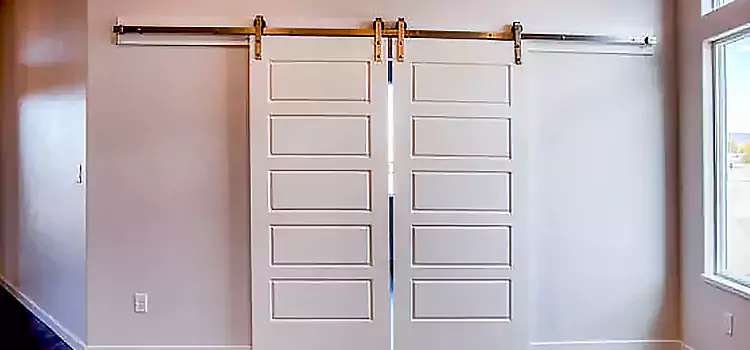 Glass Barn Door with Installation Hardware Kit Northglenn