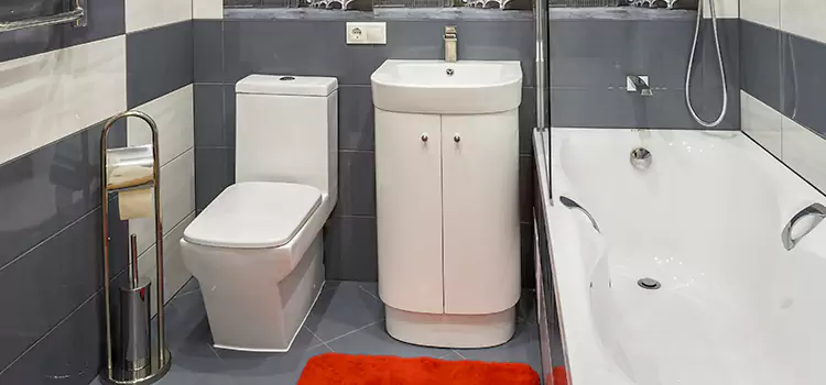Hansgrohe Shaving Mirror Northglenn
